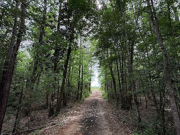 5th image of Pid 17056 County Rd #451