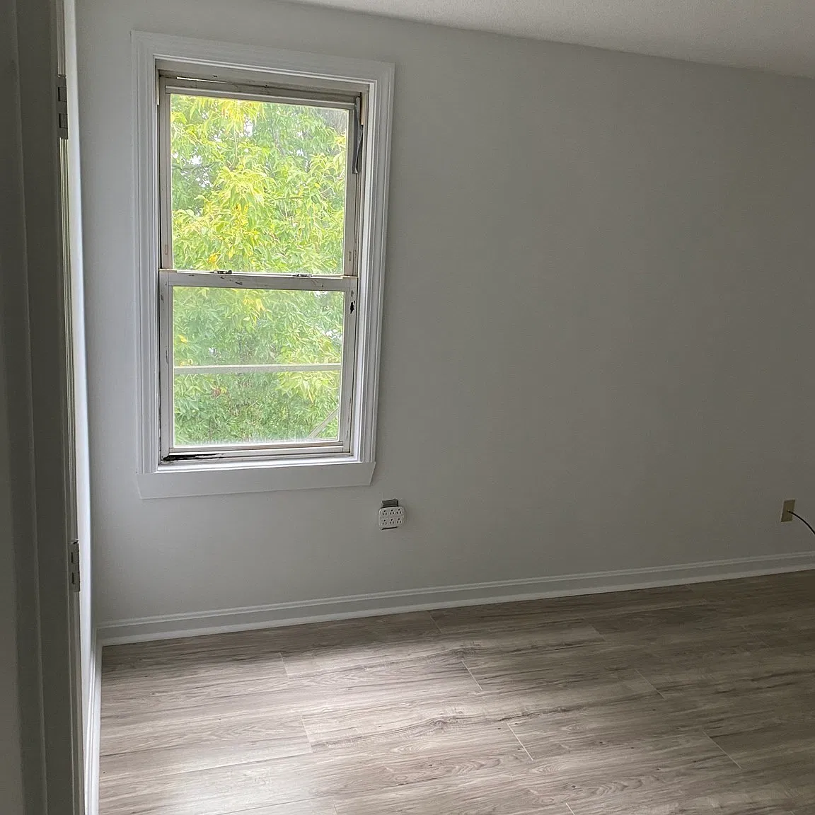 3 bed, 1.0 bath, 912 sqft, $1,800 — Photo 4