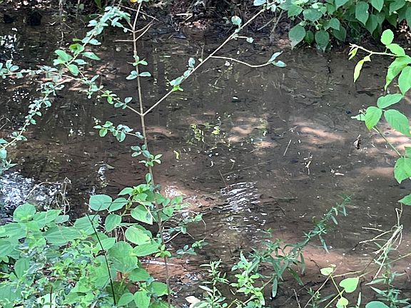 5th image of 95 Dellinger Rd NE