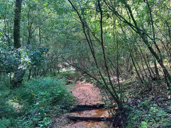 Bell Crossing Rd, Opp, AL 36467