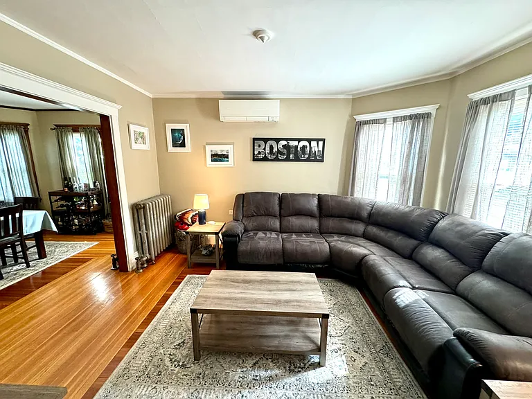 Living Room with Mini Split