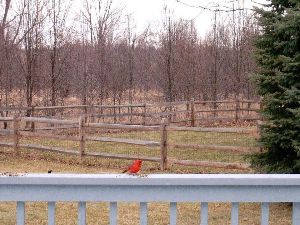 1st image of 8856 Southwold Ct