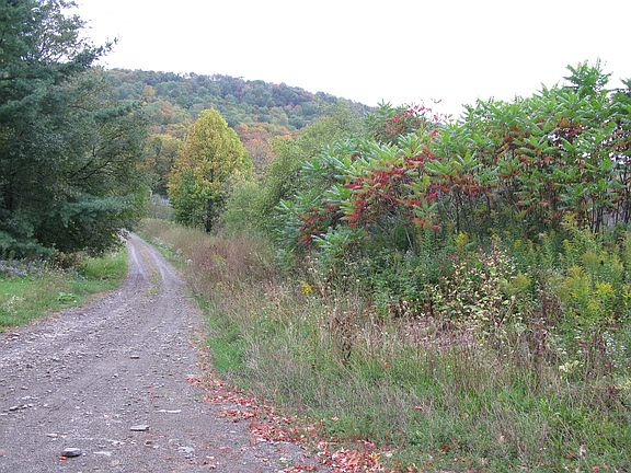 2nd image of 0 Wilson Road #Lot 1