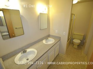 817 Arch St APT 1, Ann Arbor, MI 48104