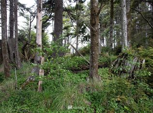 34 S 3rd St, Pacific Beach, WA 98571