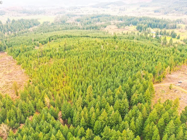 Anthony Creek Rd #Tl700, Dexter, OR 97431