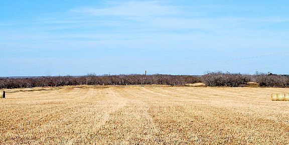 4th image of 2080 County Road 442