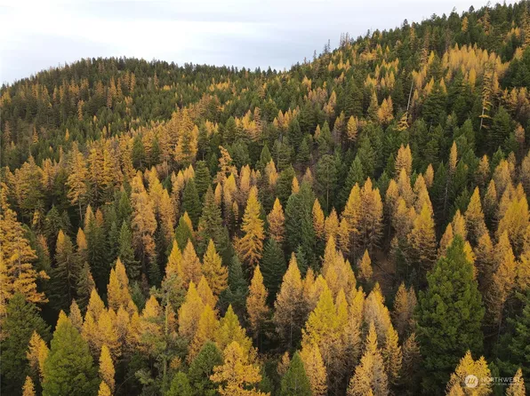 190 Wapato Road, Oroville, WA 98844