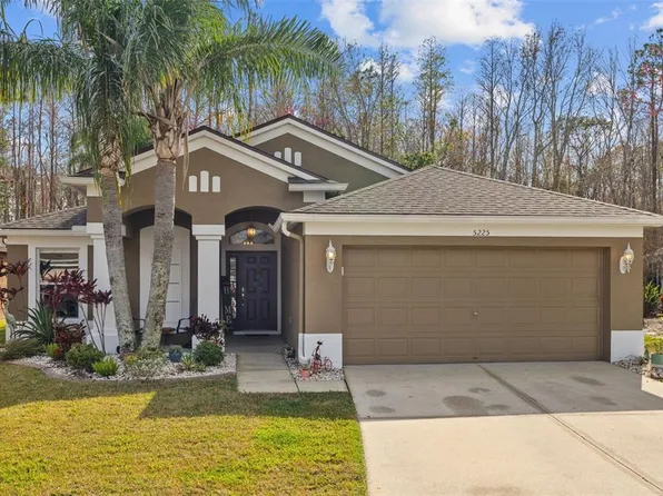5225 Algerine Pl, Zephyrhills, FL 33544