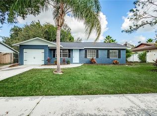 304 Spring Creek Ave, Brandon, FL 33510