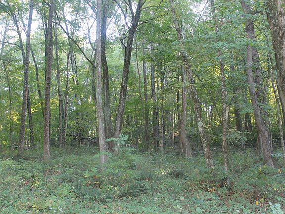 5th image of 3452 E Ore Branch Rd
