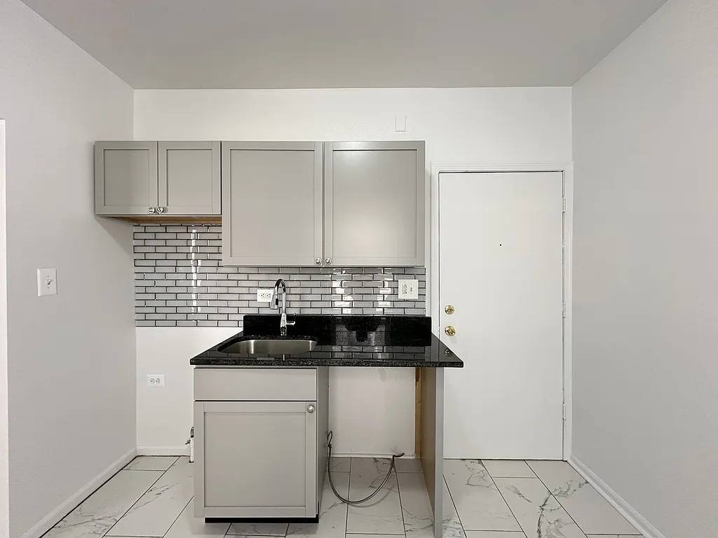 Cheerful Studio, 1 Bath at Magnolia + Devon (Rogers Park) — Photo 4