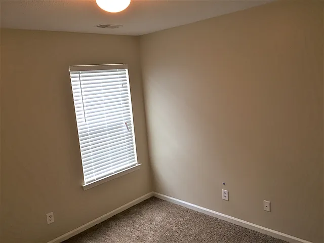 511 Cypress Cv — Photo 15