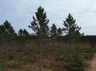 212X Ellison Lake Road, Barnes, WI 54873