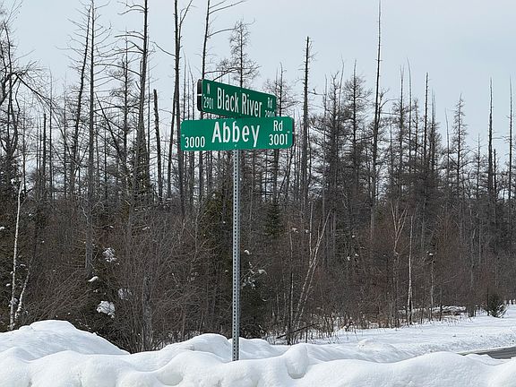 3rd image of Abbey Rd