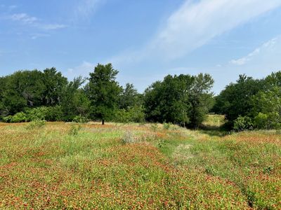 21.2 S Highway 16, Comanche, TX, 76442