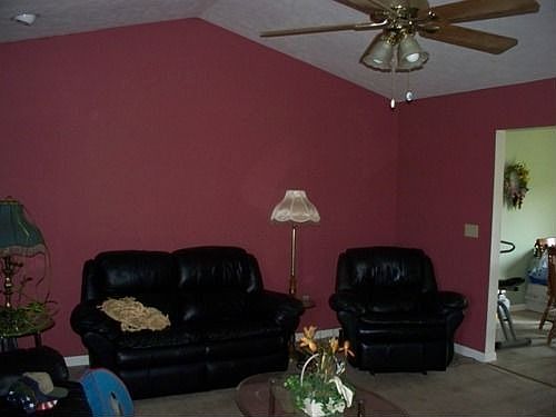Living room w/vaulted ceilings