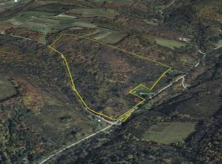 Trapping Brook Rd LOT WP001, Wellsville, NY 14895