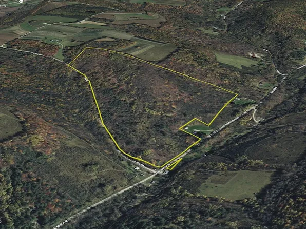 Trapping Brook Rd Lot Wp001, Wellsville, NY 14895