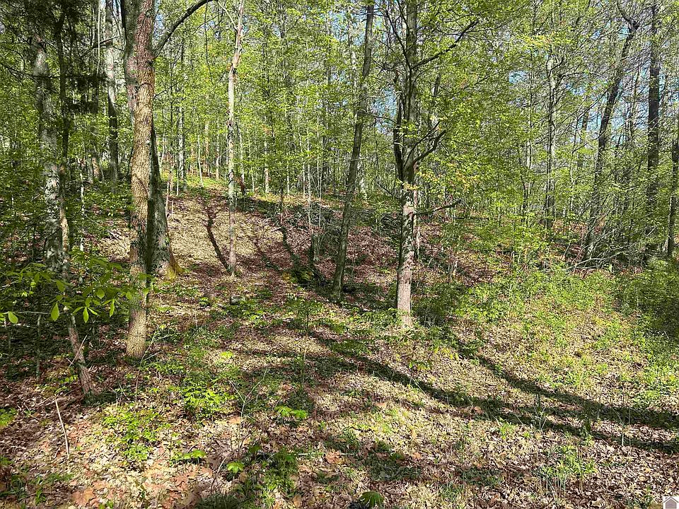 2nd image of 0 Forest Dr