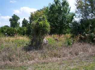 332 Summertime Ave, Lake Placid, FL 33852