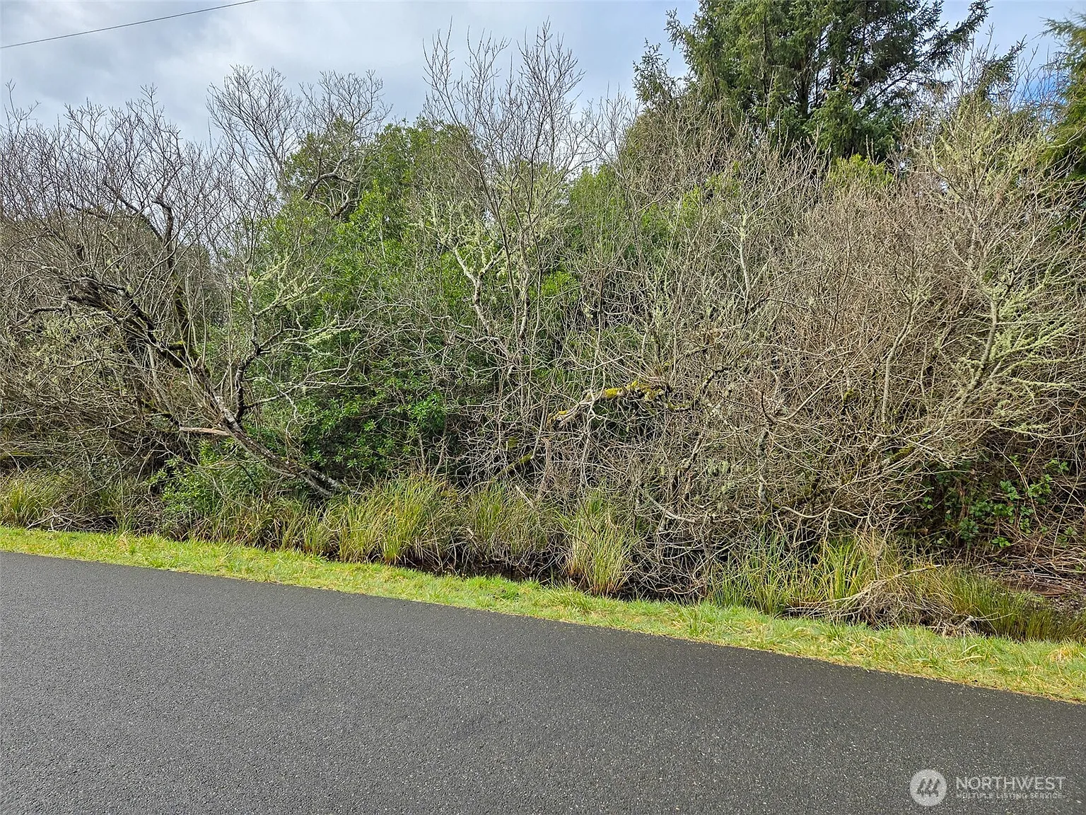 318 N Wynoochee Drive SW photo 1
