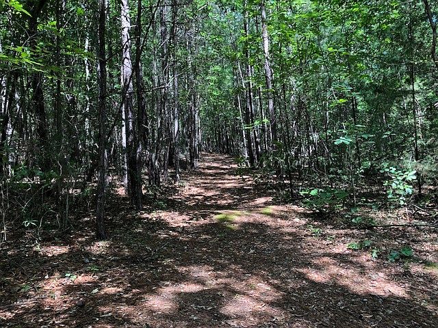 2nd image of 0 Arrowhead Ln