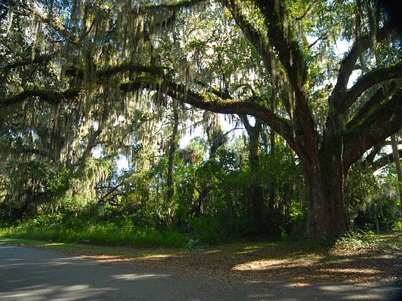4th image of 000 F Avenue