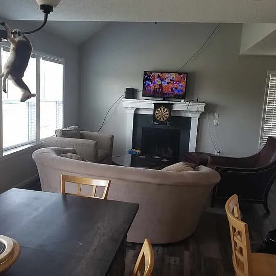 3233 Atchison Ave — Photo 2