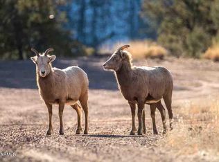 7770 Forest Service 122 Rd. Tract 6 -- #6A, Happy Jack, AZ 86024