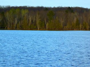 W Munro Lake Dr, Levering, MI 49755
