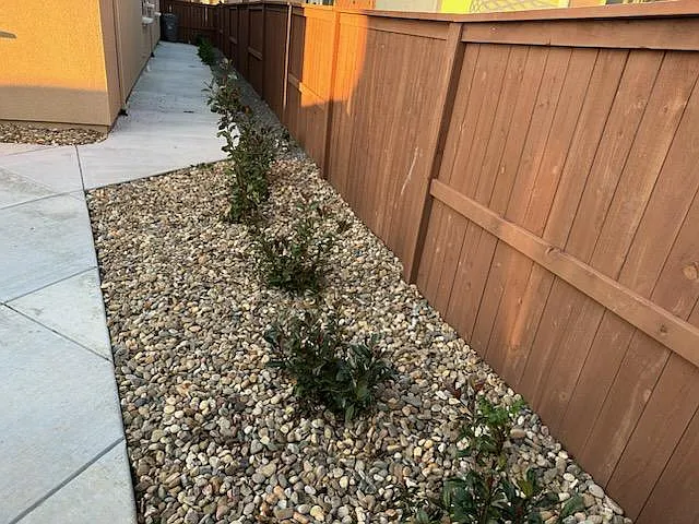 DROUGHT TOLERANT LANDSCAPING