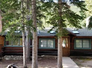 111 Eldora Rd, Nederland, CO 80466