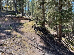 3279 N Mountain Estates Rd, Florissant, CO 80816