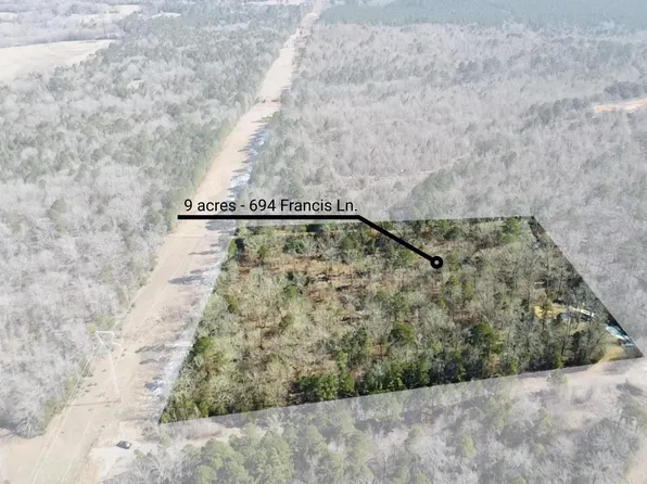 694 Frances Ln, Diana, TX 75640