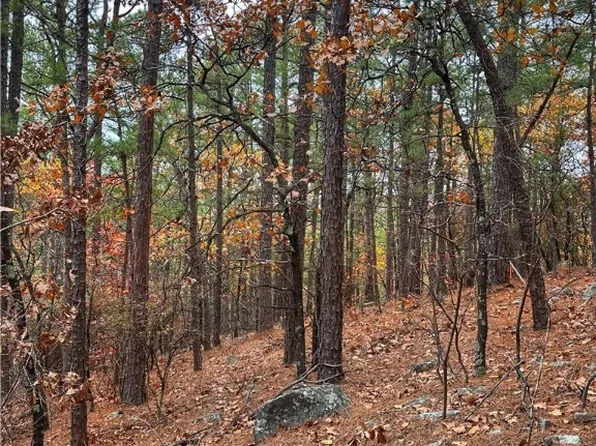 123 Wren Ln, Wister, OK 74966