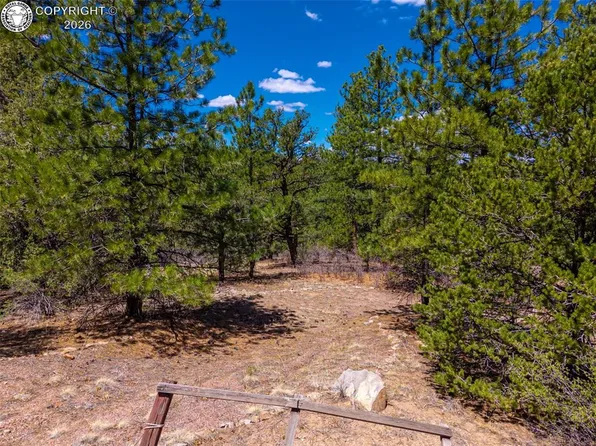 265 Alden Ln, Cotopaxi, CO 81223