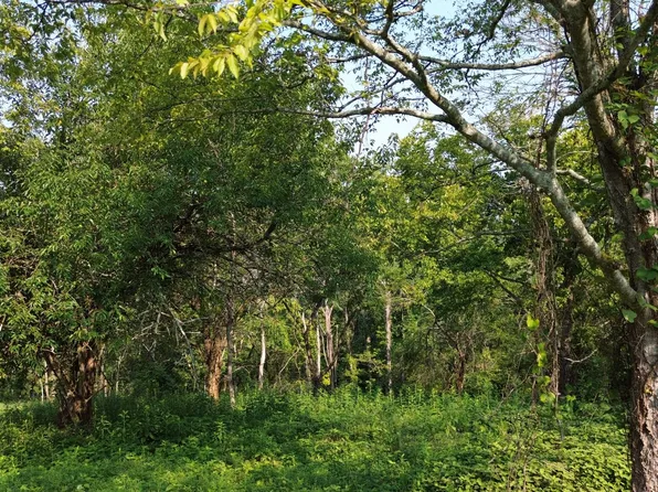 48 Harbor Ct Lot 48, Silver Pt, TN 38582