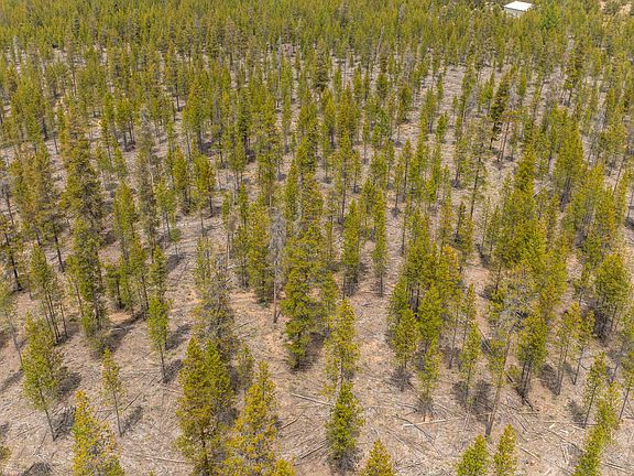 4th image of 52495 Old Stage Rd
