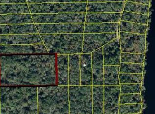 NW Fox Run Trl, Mayo, FL 32066