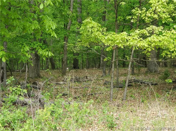 864 Horseshoe Bend Rd, Lake Ozark, MO 65049