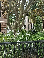 Rented by In The Heights Real Estate