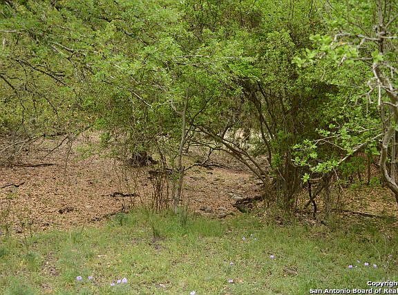 5th image of 847 County Road 473