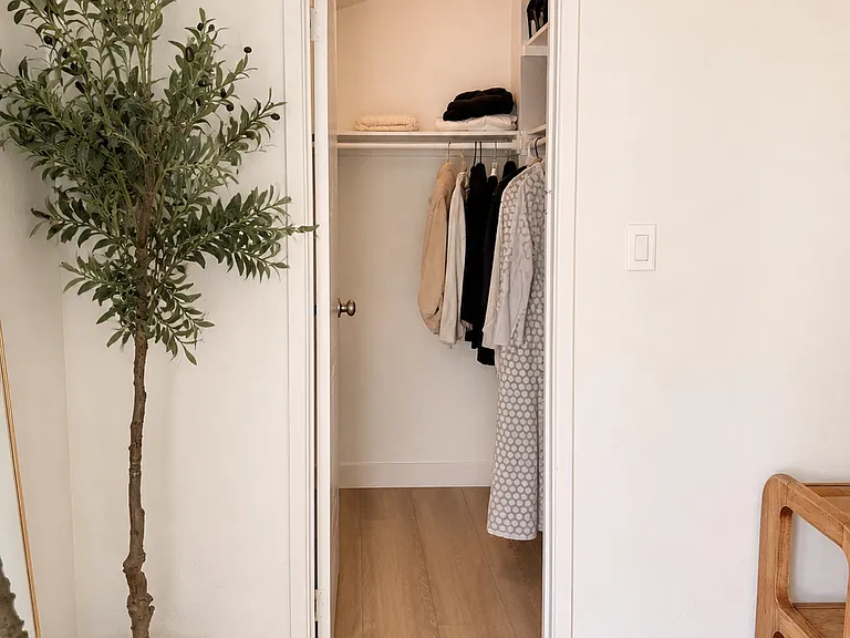 Bedroom 2-walk in closet