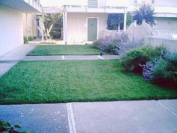 2nd image of 27 Circle Dr APT C