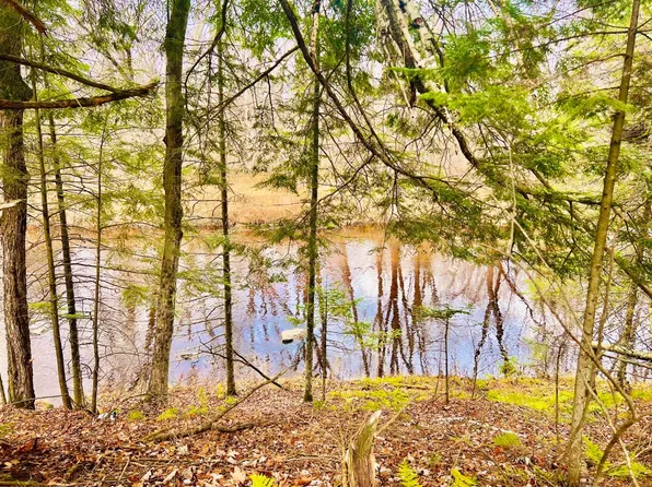 W3124 Pine River Rd, Merrill, WI 54452