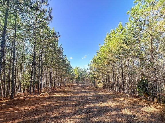 Compass South Land Sales Tennessee Hwy 412 N Tract 2 04