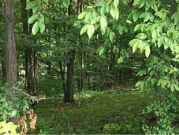 2nd image of 170 Flagg Rd