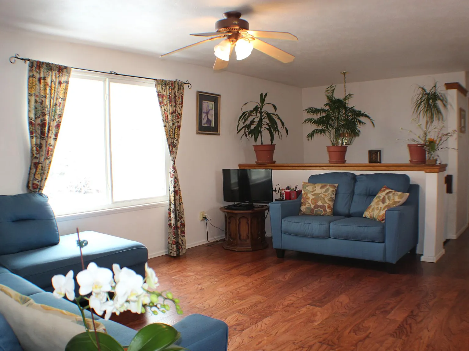 813 Winchester Dr — Photo 4