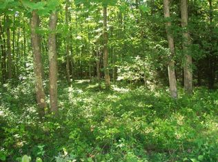 00 Bushy Meadow Creek Rd, Leivasy, WV 26676